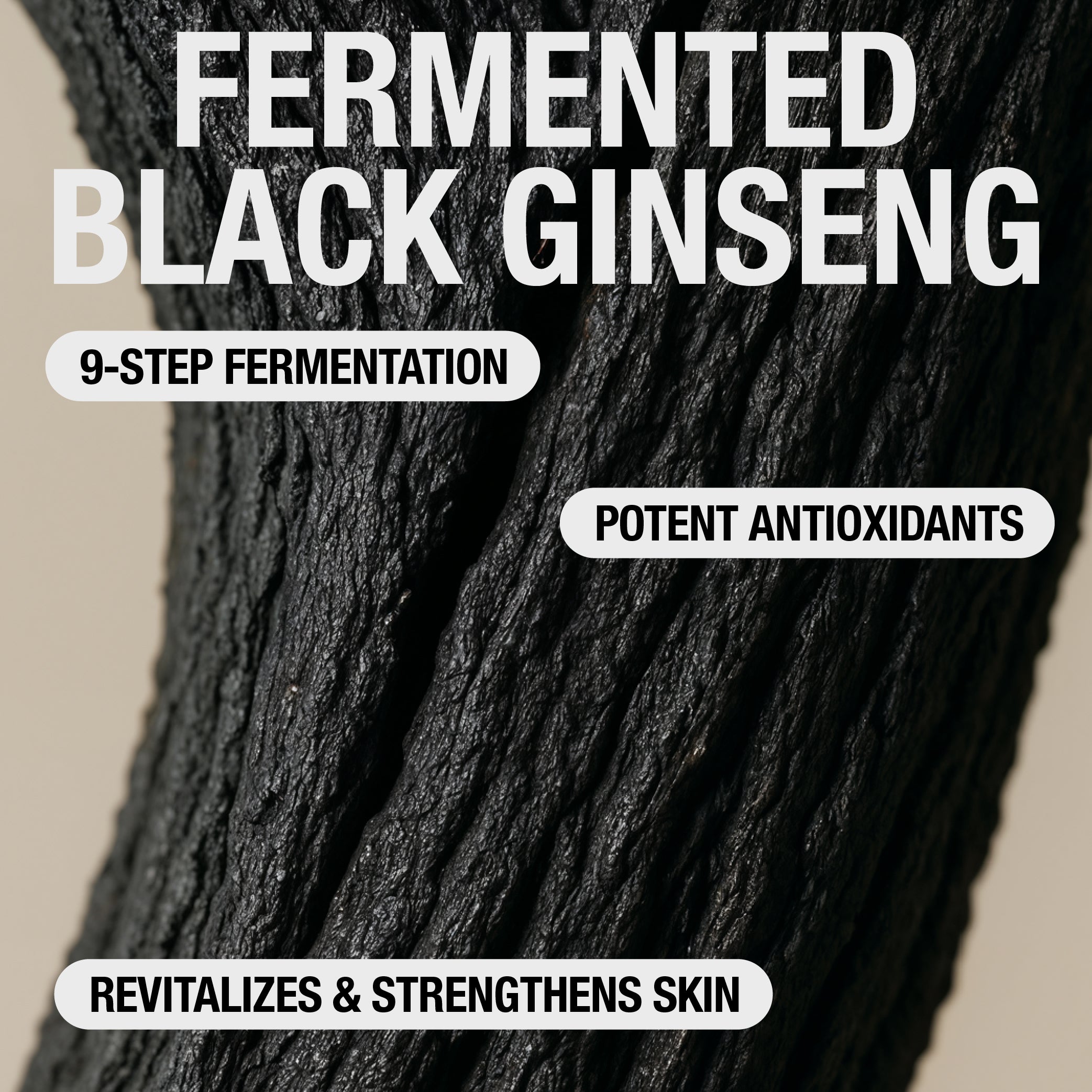 BAKUCHIOL CERAMIDE PEPTIDE CREAM