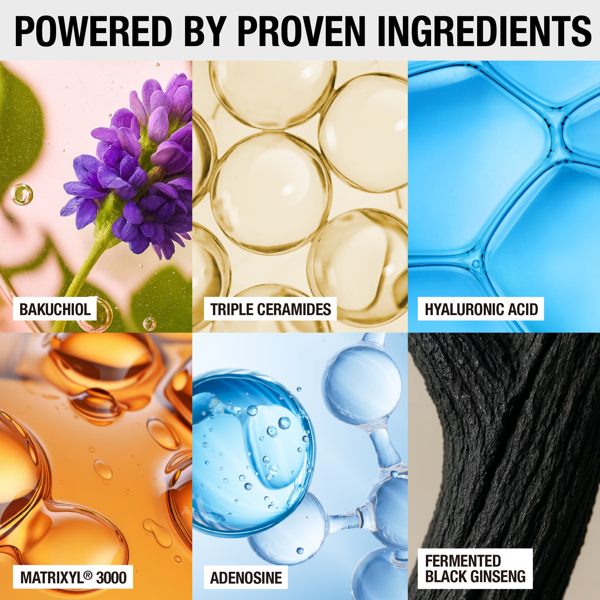 BAKUCHIOL CERAMIDE PEPTIDE CREAM