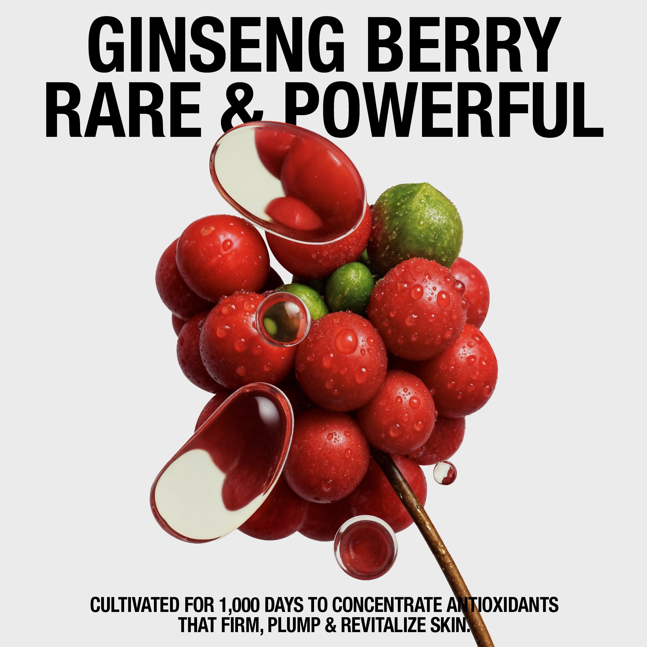 DARK SPOT CLARITY OIL WITH VITAMIN C